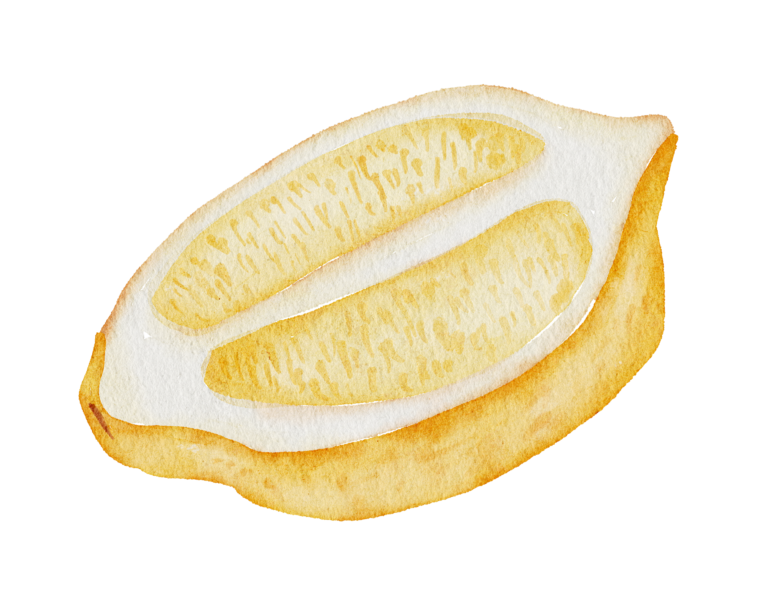 vecteezy lemon watercolor hand paint 10219748